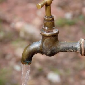 faucet, water, nature, drinking water, drink, sed, jet